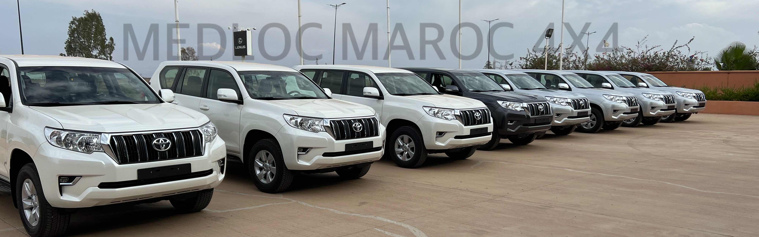Image de couverture de Medloc Car Rental